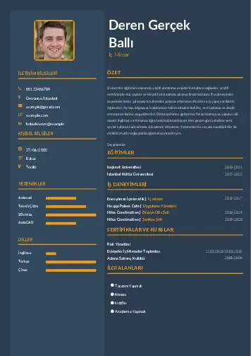 İç Mimar Cv Örnekleri cv indir